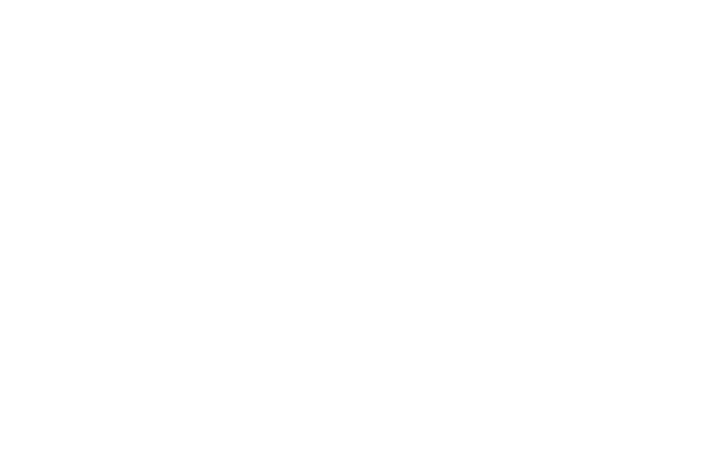 Bridge Real Estate